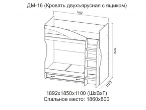 ДМ-16 Кровать двухъярусная с ящиком в Сургуте - surgut.магазин96.com | фото