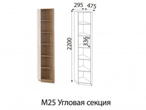 М25 Угловая секция в Сургуте - surgut.магазин96.com | фото