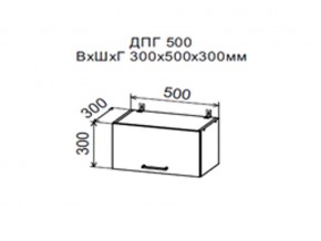 Шкаф верхний ДПГ500 горизонтальный в Сургуте - surgut.магазин96.com | фото