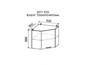 Шкаф верхний ДПУ600 угловой в Сургуте - surgut.магазин96.com | фото